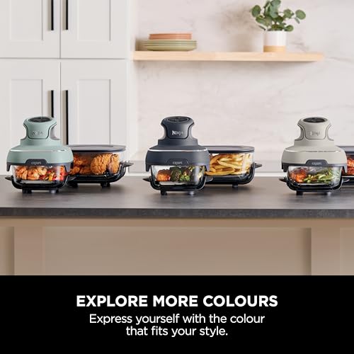 Ninja CRISPi Portable Air Fryer, 3.8L, 4-in-1: Air Fry, Roast, Keep Warm, Recrisp