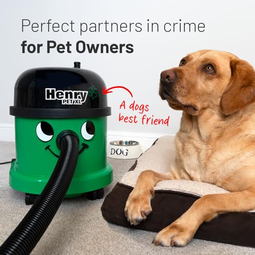 Henry Pet XL NRV370-11, Vacuum Cleaner, Green, 620 W, 15 liters, 72 Decibeles