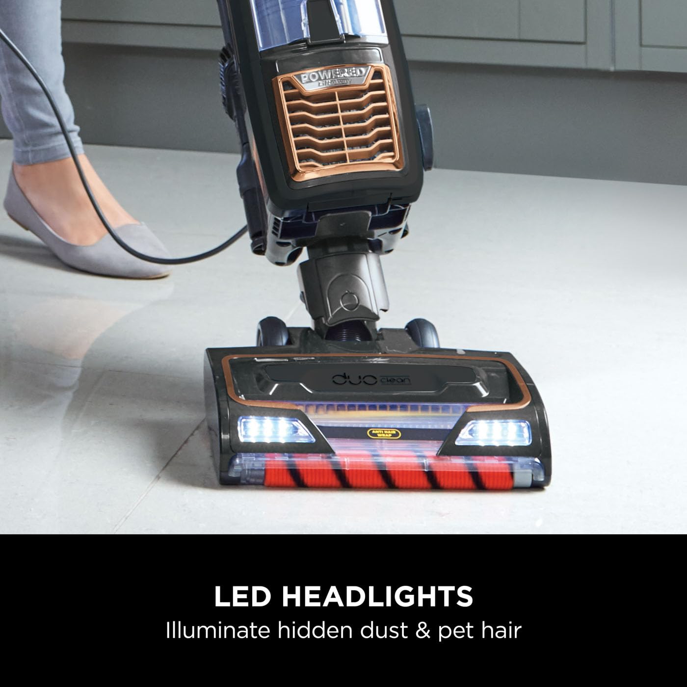 Shark Corded Upright Vacuum Cleaner, 0.83L with Anti Hair Wrap Technology & DuoClean