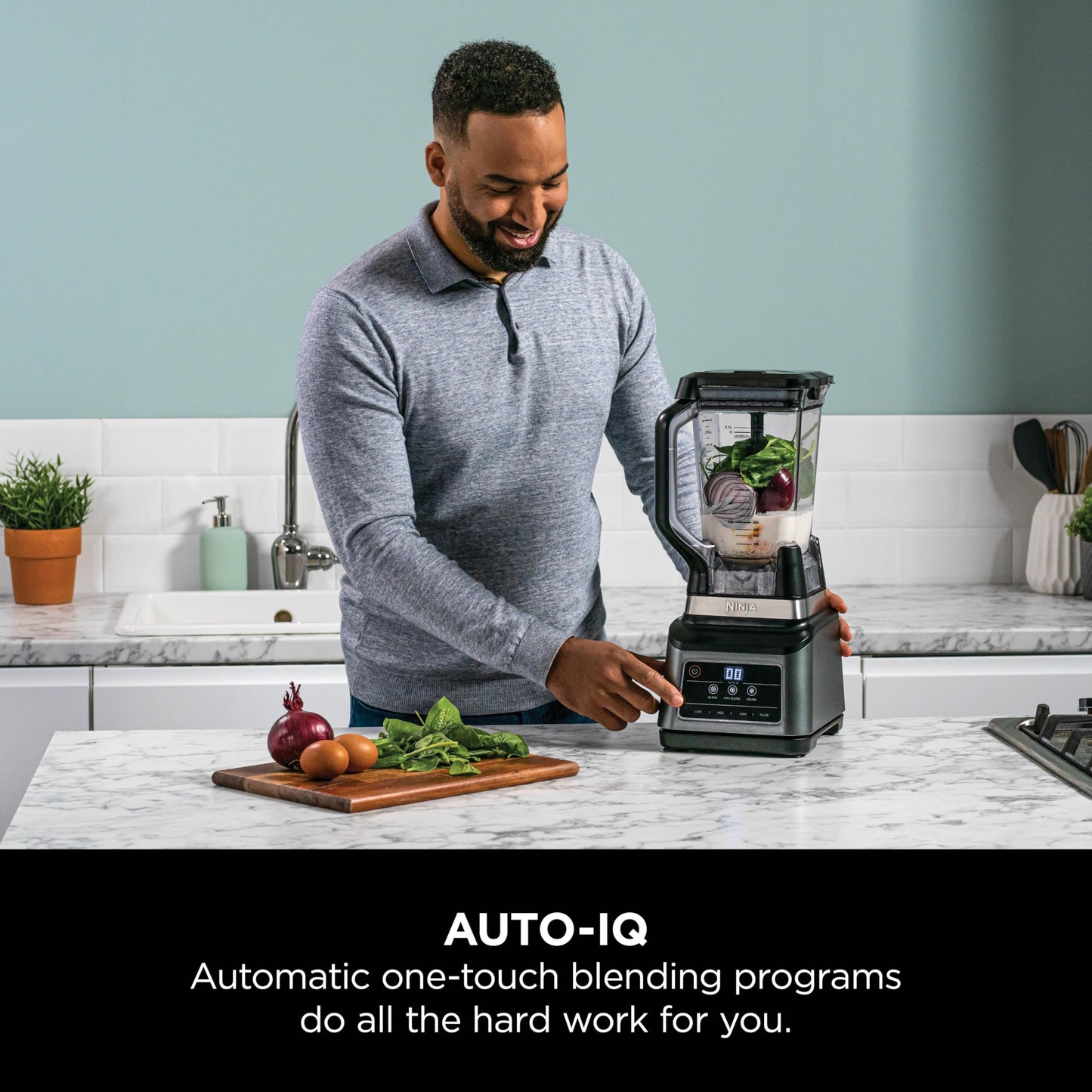 Ninja 2-in-1 Blender with 3 Automatic Programs; Blend, Max Blend, Crush, and 4 Manual Settings