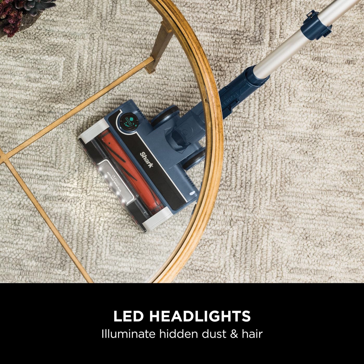 Shark Stratos XL 2.6 Litre Corded Upright Vacuum Cleaner with Anti Hair Wrap Plus & Anti Odour